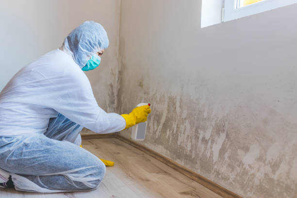 Mold inspector in Runnemede performing thermal imaging